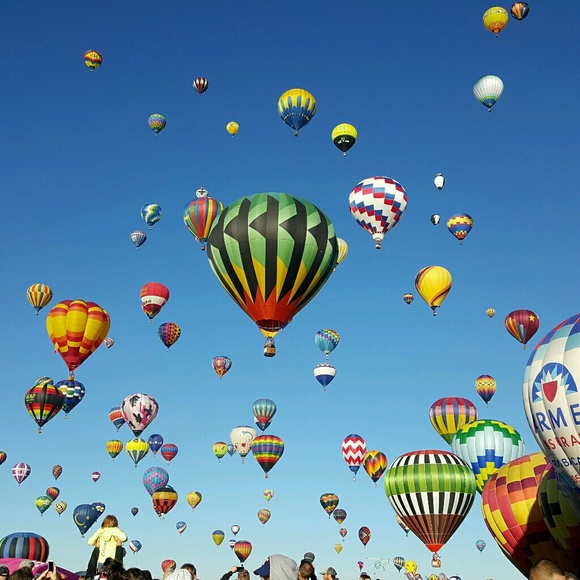 Meet your Posher, Amy - Picture 1 of 1